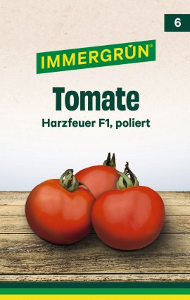 IMMERGRÜN Tütensamen Tomate Harzfeuer F1
