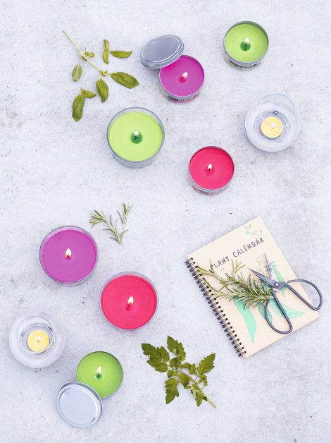 Citronella Teelichter, 18 Stk. | Lagerhaus