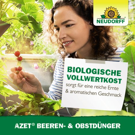 NEUDORFF® Azet Beeren- & ObstDünger 1 kg