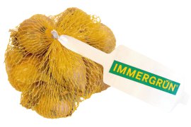 IMMERGRÜN Schalotten Frühjahr 250 g