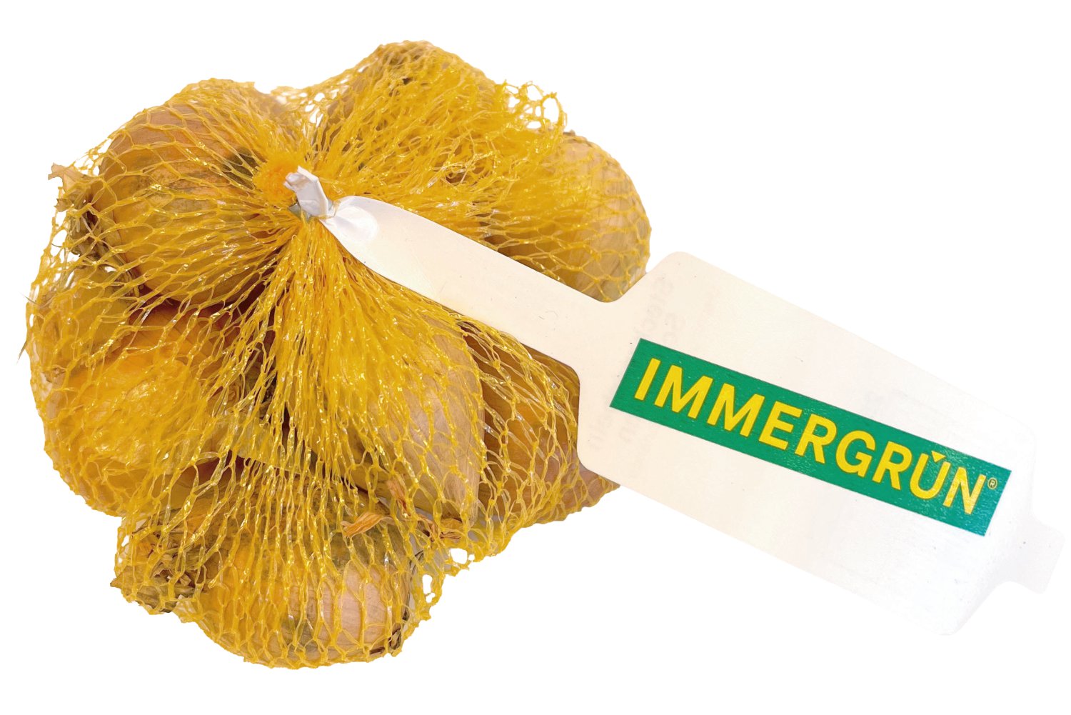 IMMERGRÜN Schalotten Frühjahr 250 g