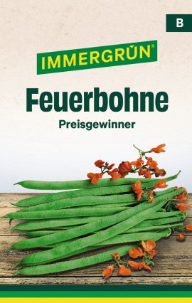 IMMERGRÜN Tütensamen Prunkbohne Preisgewinner
