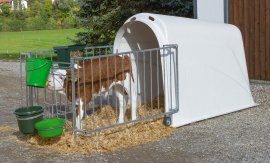 CalfHouse Master Plus