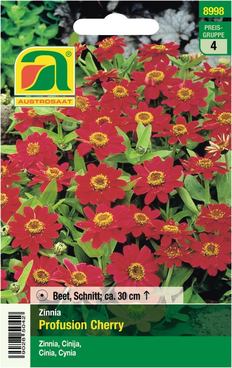 Zinnia Profusion Cherry