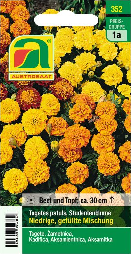 Tagetes niedrige gefüllte Mischung