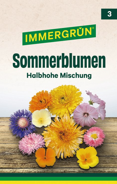 IMMERGRÜN Tütensamen Sommerblumen Halbhohe Mischung