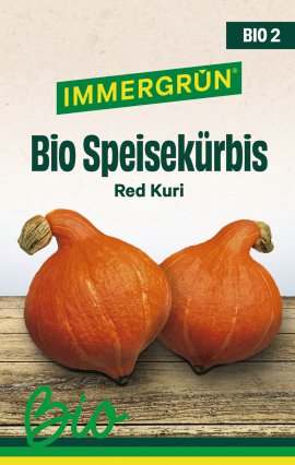 IMMERGRÜN Tütensamen BIO Kürbis, Speisekürbis Red Kuri