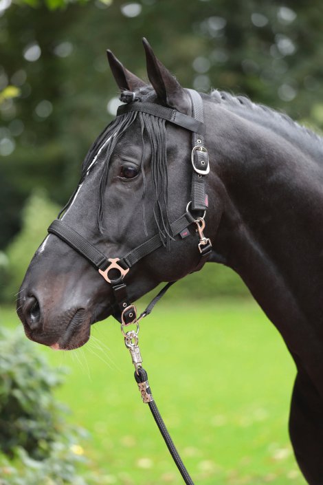 Fliegen-Fransenband Pony, schwarz