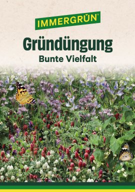 IMMERGRÜN Tütensamen Bunte Vielfalt 100 g