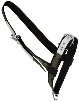 Halfter, olivgrün/schwarz