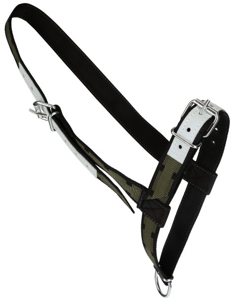 Halfter für Rinder/Jungbullen, olivgrün/schwarz