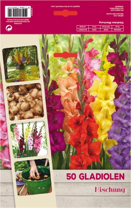 Blumenzwiebel Gladiolen Mix