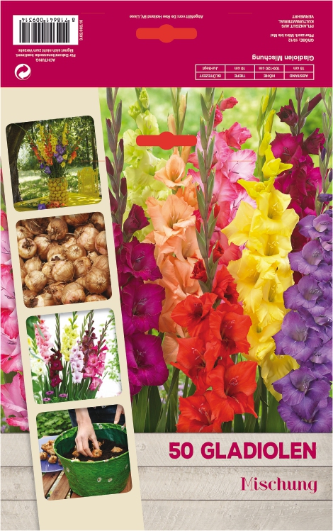 Blumenzwiebel Gladiolen Mix