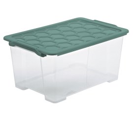 ROTHO Aufbewahrungsbox Evo Safe Misteltoe Grün 44 l