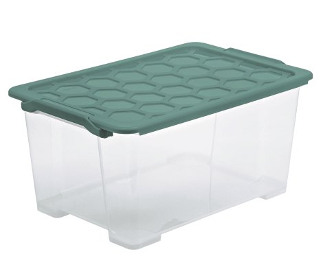 ROTHO Aufbewahrungsbox Evo Safe Misteltoe Grün 44 l