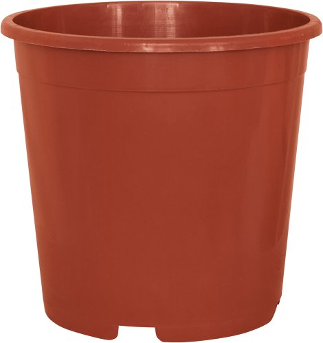 GELI Containertopf Terrakotta 15 cm