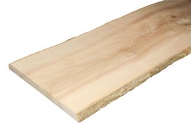 FN Neuhofer Brett Esche 260-350x22 mm 120 cm