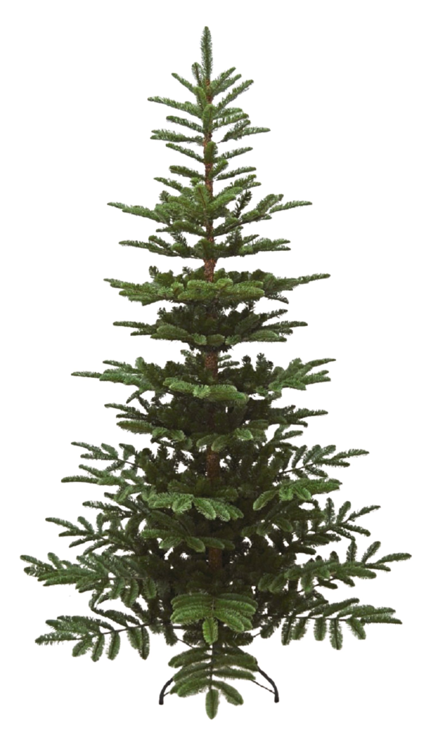 Weihnachtsbaum Tanne