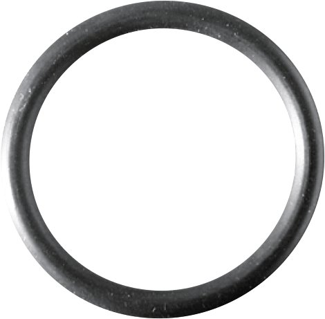 CORNAT O-Ring für Flexschläuche M10 2 Stk.