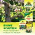 Bild vergrößern