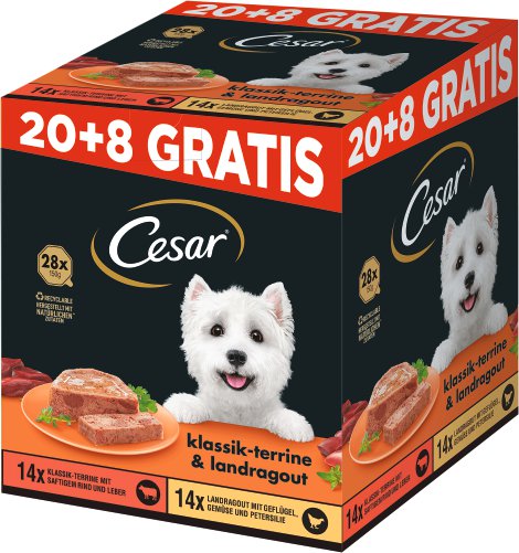 CESAR Hundenassfutter Schale 20x150 g + 8 Gratis