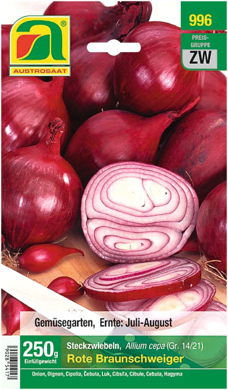 Steckzwiebel Rote Braunschweiger
