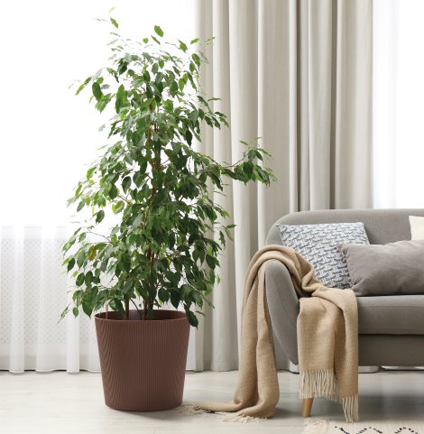 Übertopf Fyre mit Rollen Rost ⌀ 35 cm