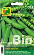 Bild vergrößern