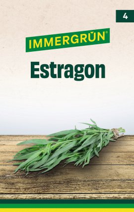 IMMERGRÜN Tütensamen Estragon