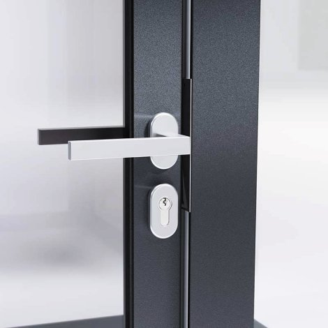 SUNELEMENTS Zusatztür Aluminium Natur Acrylglas klar 6 mm