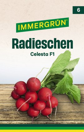 IMMERGRÜN Tütensamen Radieschen Celesta F1