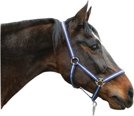 Nylonhalfter Hippo, blau/marine