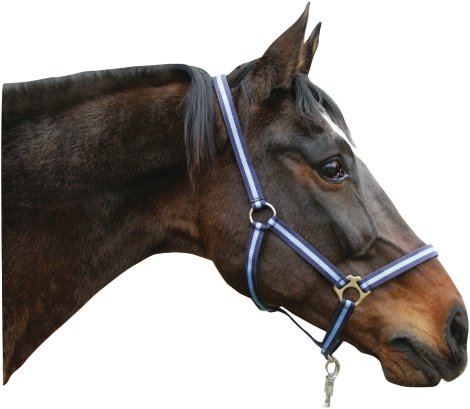 Nylonhalfter Hippo blau/marine Gr. 3