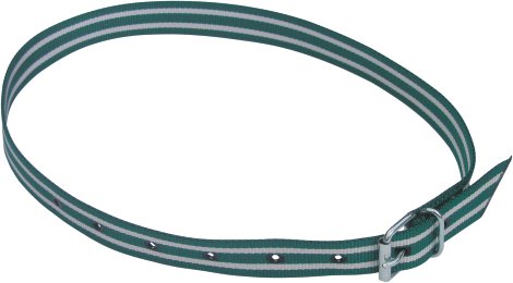 Markierungsband 120 cm, grün/weiß