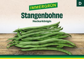 IMMERGRÜN Tütensamen Stangenbohne Neckarkönigin