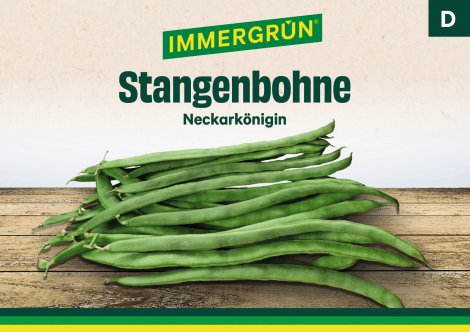IMMERGRÜN Tütensamen Stangenbohne Neckarkönigin