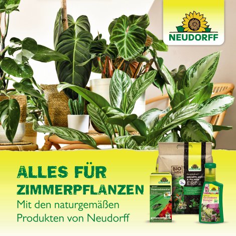 NEUDORFF® Gelb-Sticker 10 Stk.