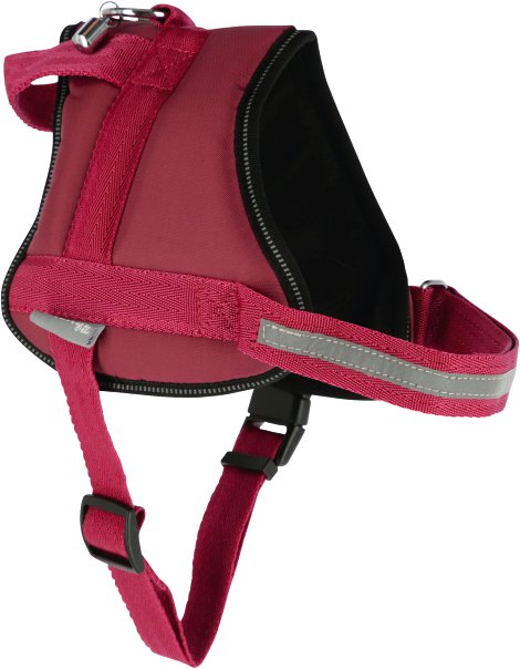 Geschirr Maestro 2.0, burgundy mit Adresstube 15mm x 45-60 cm