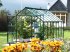 Bild vergrößern