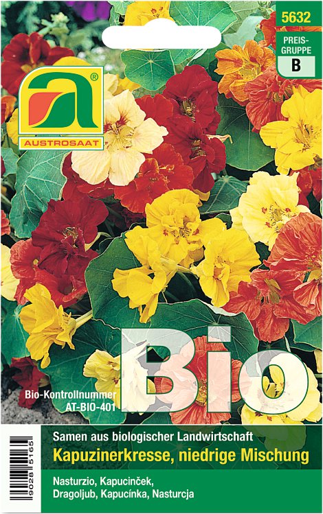 Kapuzinerkresse niedrig