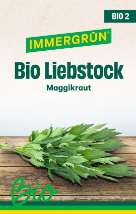 IMMERGRÜN Bio Liebstock Maggikraut