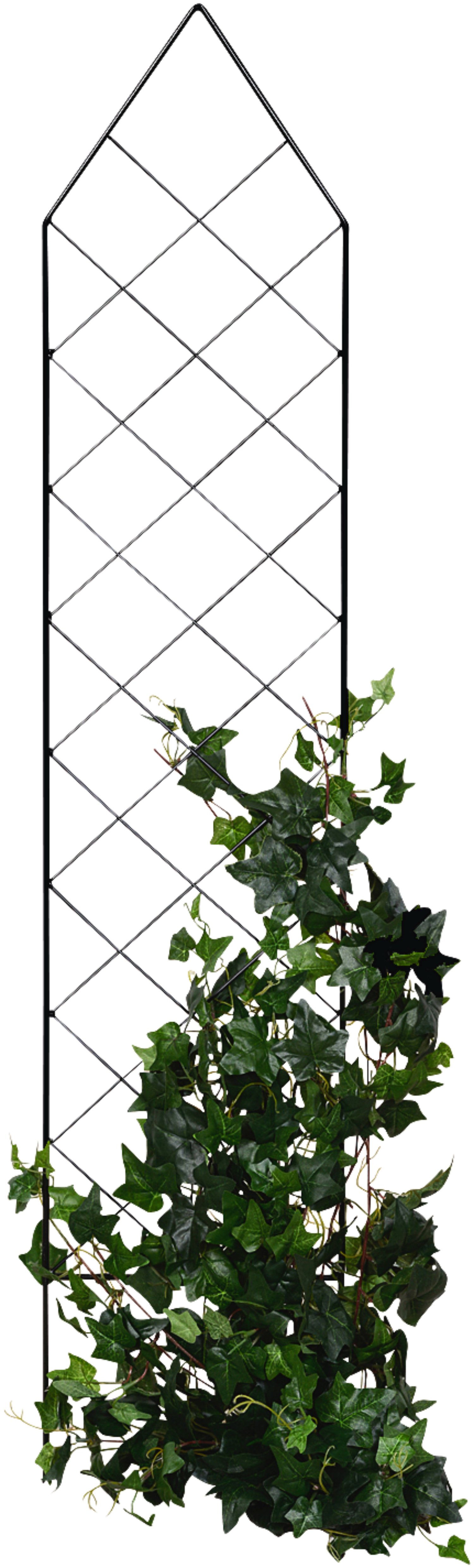 TALOO Zierspalier Santos