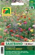Bild vergrößern