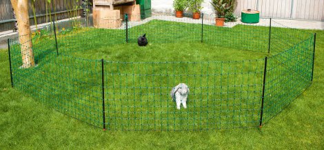 Kaninchennetz mit Einzelspitze 65 cm x 50 m