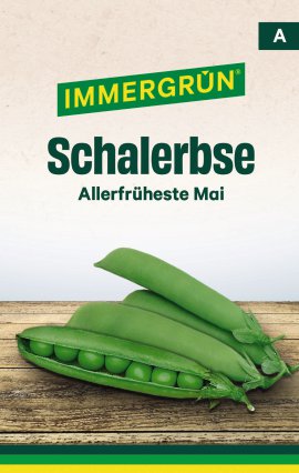 IMMERGRÜN Tütensamen Schalerbse Allerfrüheste Mai