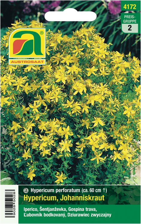 Hypericum Johanniskraut