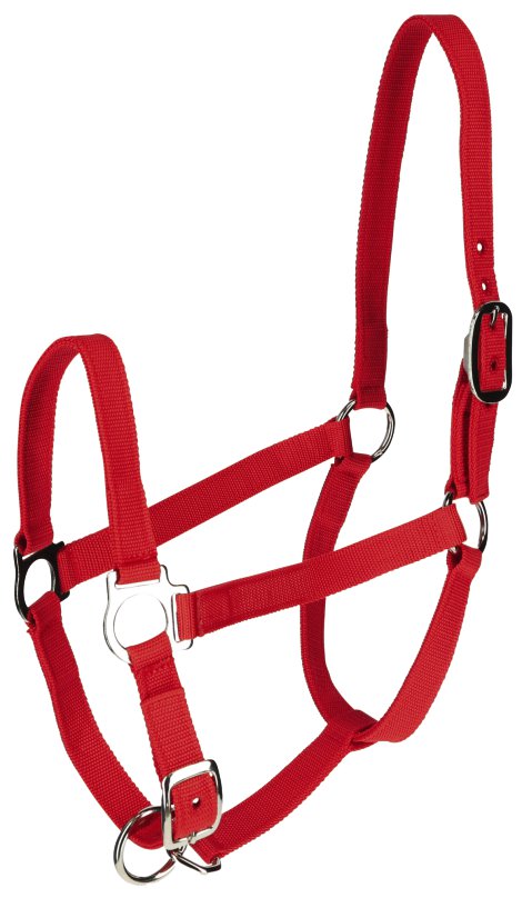 Vorführhalfter, rot