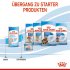 Bild vergrößern