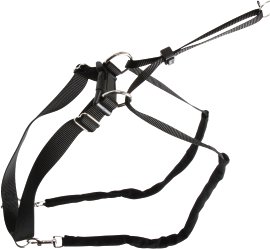 MaxiLeader schwarz, Gr. 1