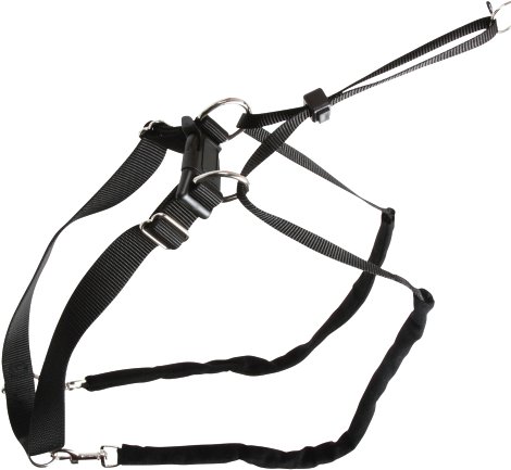 MaxiLeader schwarz, Gr. 1